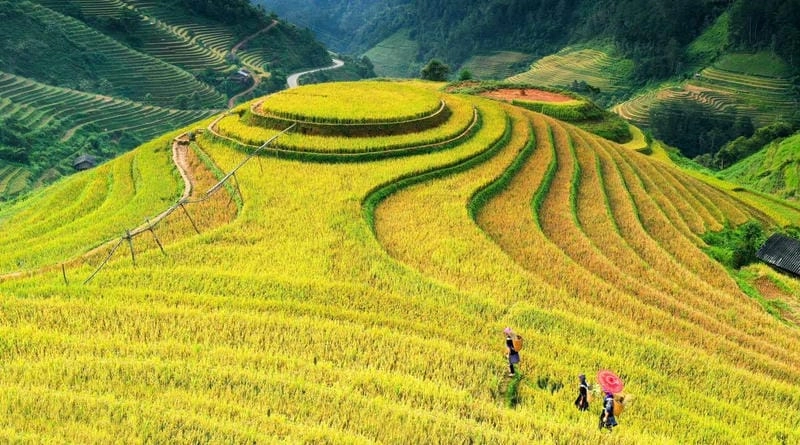 Sưu tầm những bức ảnh chụp từ trên cao tráng lệ