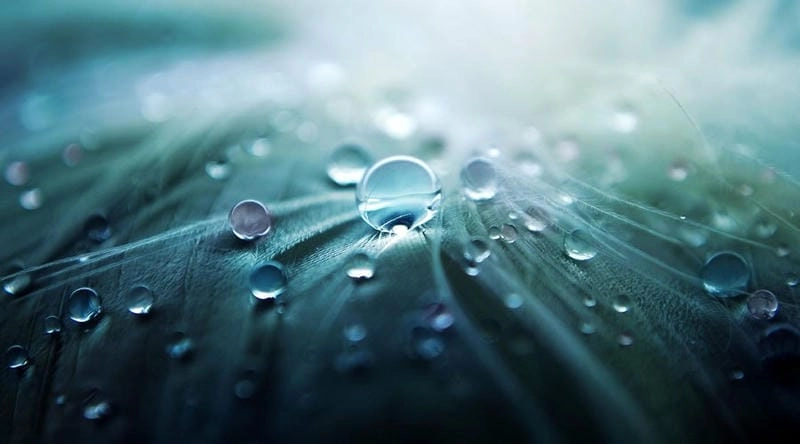 Săn những bức ảnh macro thiên nhiên tráng lệ