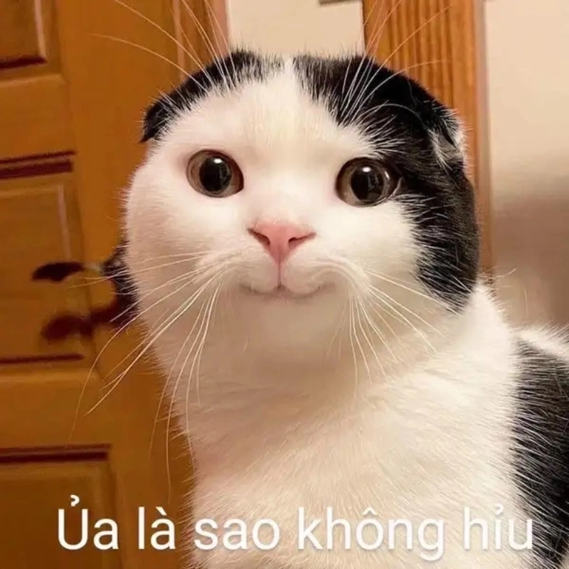 Kho báu chế ảnh meme hài hước cực sáng tạo cho bạn bè chia sẻ