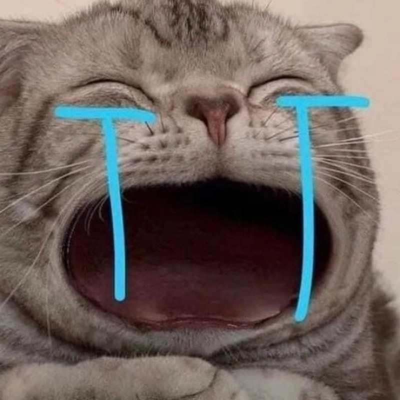 Thả dáng cá tính với avatar meme bựa đầy sáng tạo