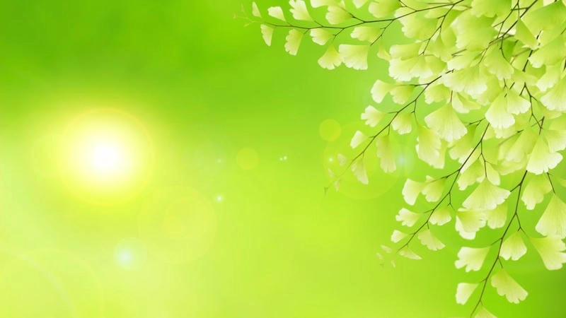 Cùng du ngoạn background thiên nhiên mê hoặc