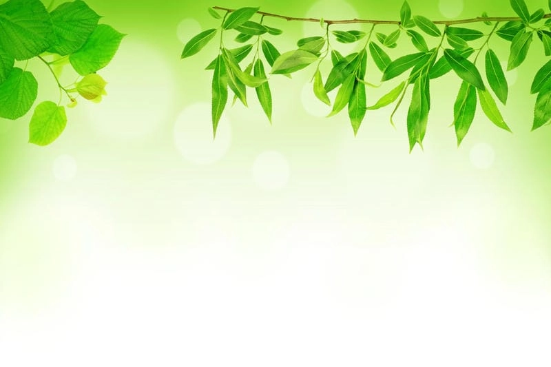 Tìm về background thiên nhiên kỳ diệu