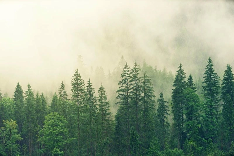 Chiêm ngưỡng vẻ đẹp background thiên nhiên kỳ vĩ