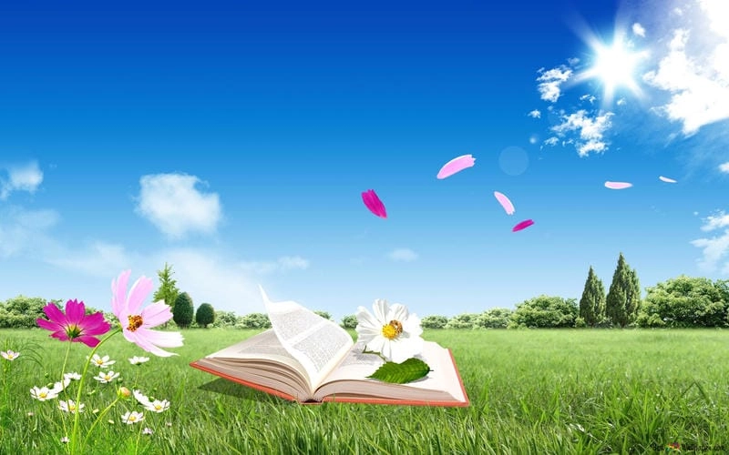 Đắm mình trong background thiên nhiên huyền ảo