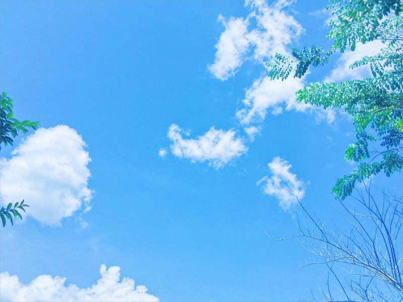 Tìm về bầu trời xanh mùa hè