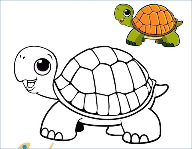 Khám phá bộ tranh bé tập tô màu con vật sinh động
