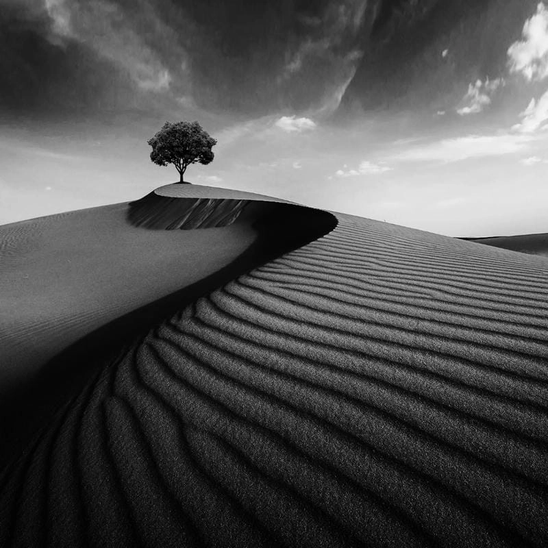 Cười sảng với ảnh black and white landscape nên thơ