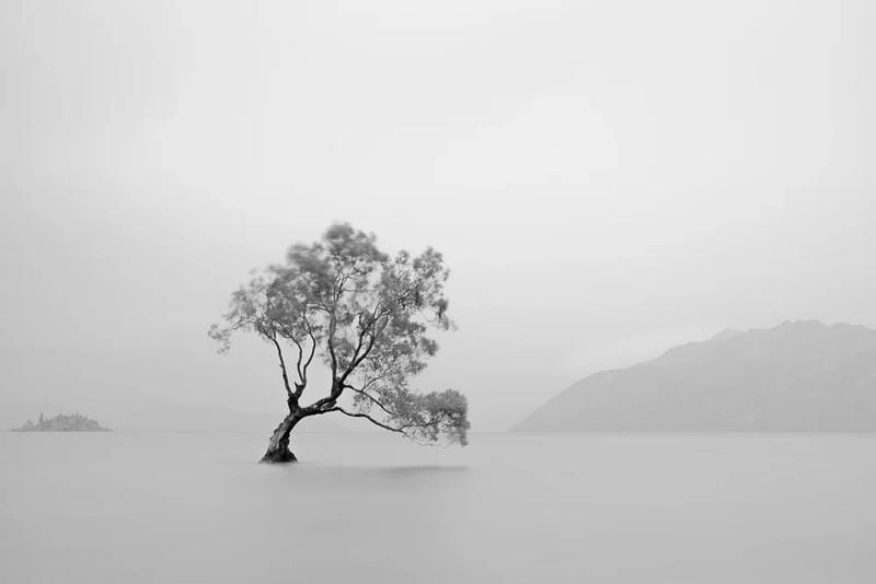 Đắm mình trong ảnh black and white landscape huyền ảo