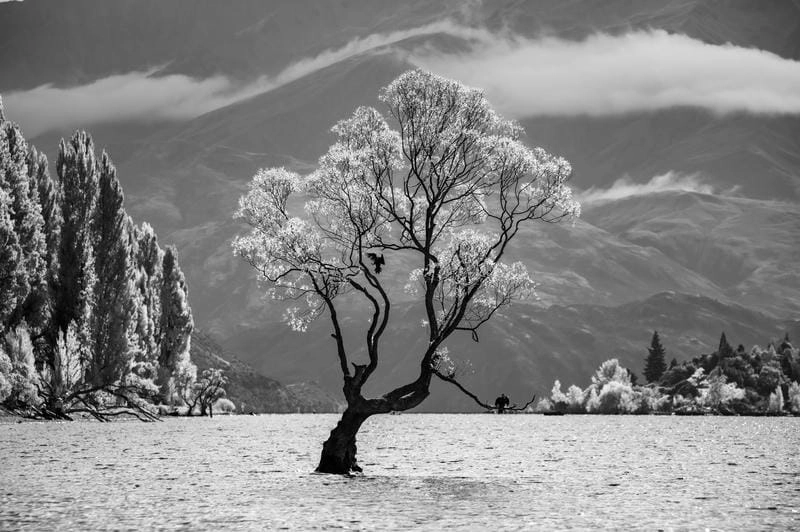 Thức dậy cùng ảnh black and white landscape tuyệt mỹ