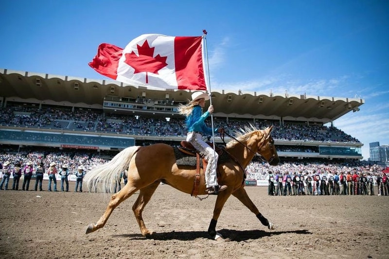 Cùng đắm mình trong không khí Calgary Stampede sôi động