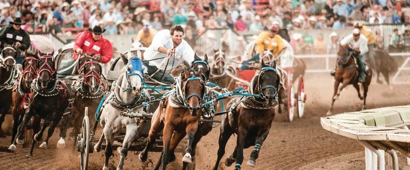 Cười sảng với Calgary Stampede huyền thoại