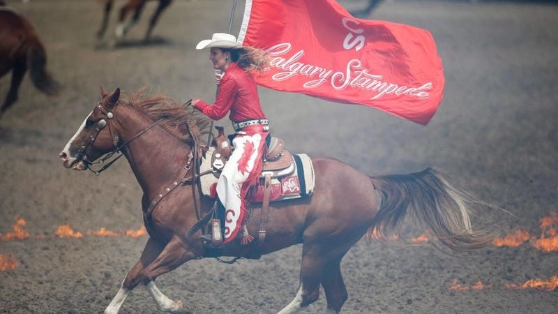 Tải ngay Calgary Stampede truyền thống
