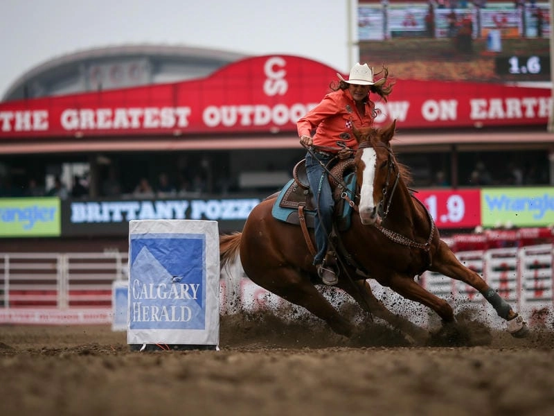 Khám phá các hoạt động chính của lễ hội Calgary Stampede