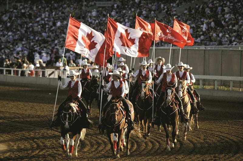 Lạc lối trong Calgary Stampede rực rỡ