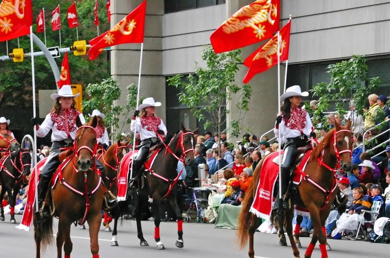 Thức dậy cùng Calgary Stampede ấn tượng