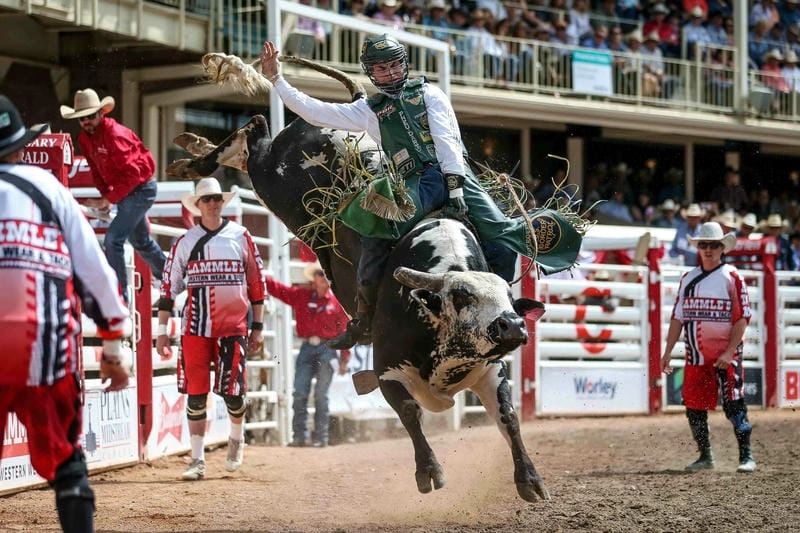 Ngắm nhìn vẻ đẹp Calgary Stampede cuốn hút