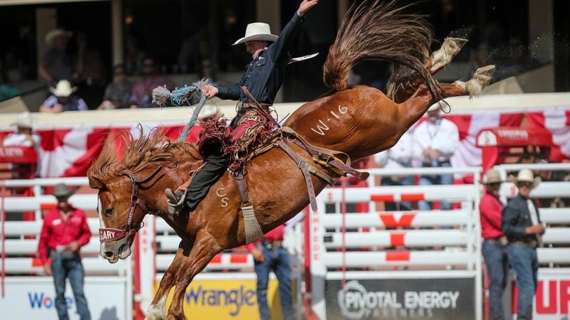 Cùng du ngoạn Calgary Stampede hoành tráng