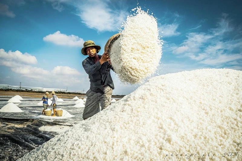 Khám phá vẻ đẹp cánh đồng muối đẹp