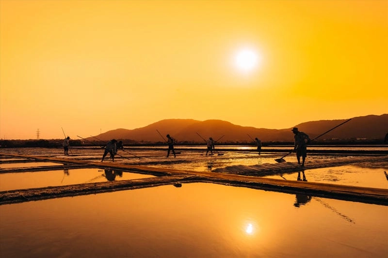 Lạc lối trong cánh đồng muối thanh bình