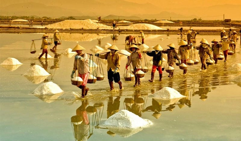 Chiêm ngưỡng vẻ đẹp cánh đồng muối kỳ vĩ