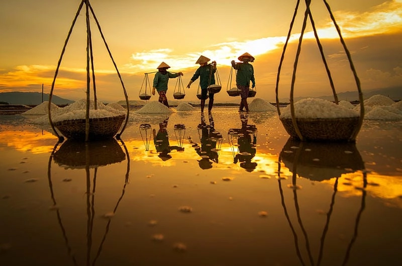 Sưu tầm những bức cánh đồng muối hùng vĩ