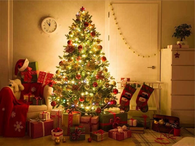 Tìm hiểu nguồn gốc và ý nghĩa của cây thông Noel