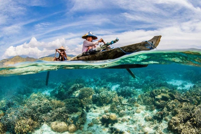 Sưu tầm những bức đại dương trong xanh