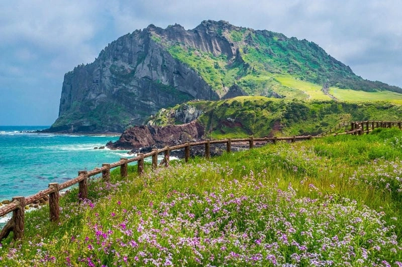 Chiêm ngưỡng vẻ đẹp đảo Jeju đẹp