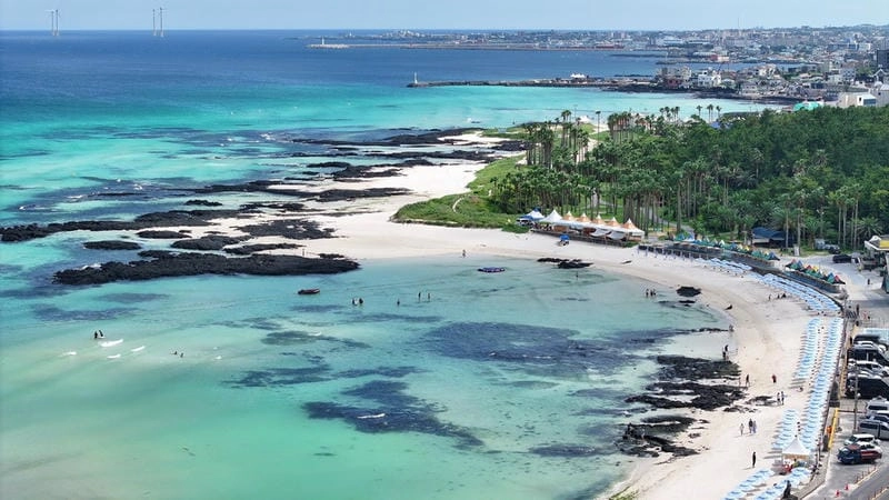 Tải ngay đảo Jeju nên thơ