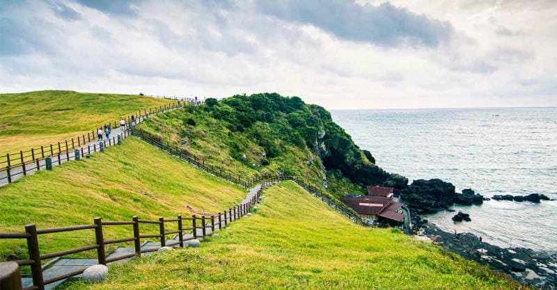 Đắm mình trong đảo Jeju kỳ vĩ