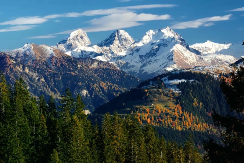 Săn những bức dãy núi Alps tuyết trắng