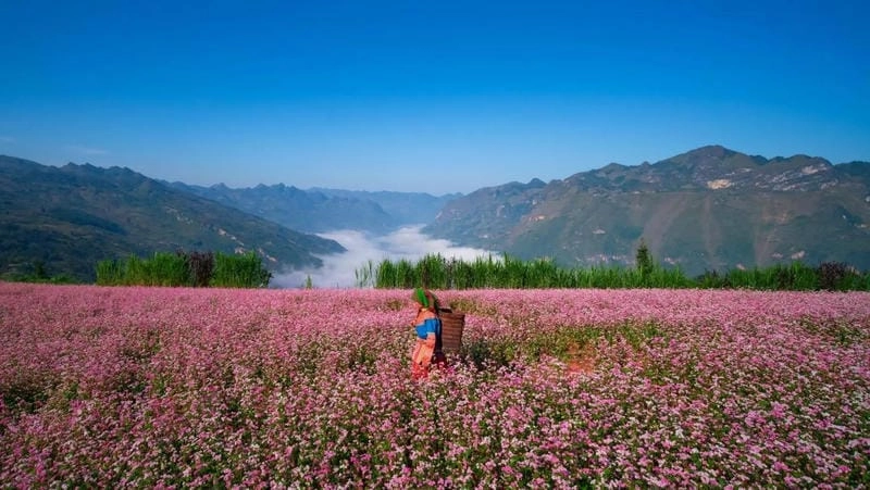 Cười sảng với Hà Giang phong cảnh