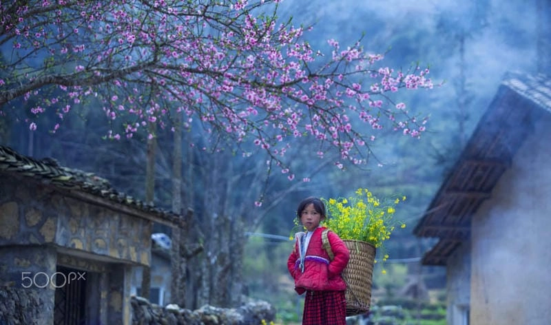 Ngắm nhìn vẻ đẹp Hà Giang huyền ảo