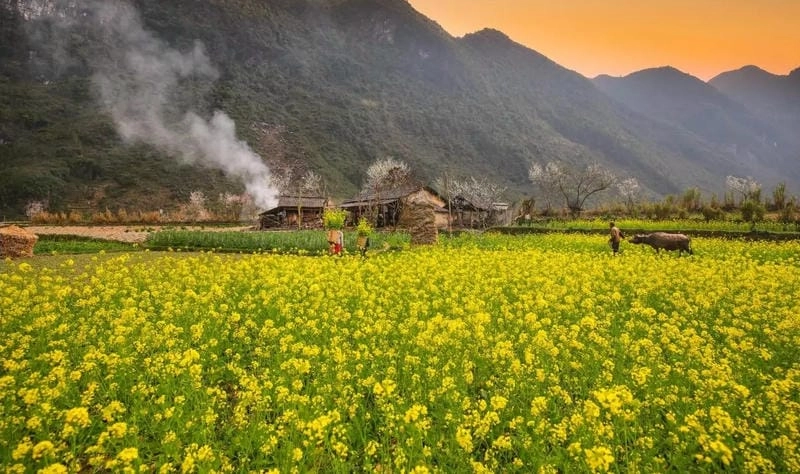 Săn những bức ảnh Hà Giang hoang sơ