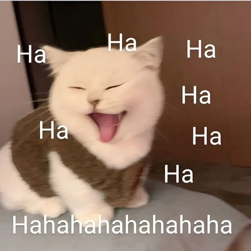Khoảnh khắc hài hước bất tận với meme hahaa
