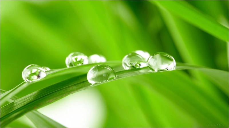 Lạc lối trong hình nền giọt nước độc đáo