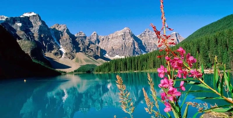 Ngắm nhìn vẻ đẹp hồ Moraine hoang sơ