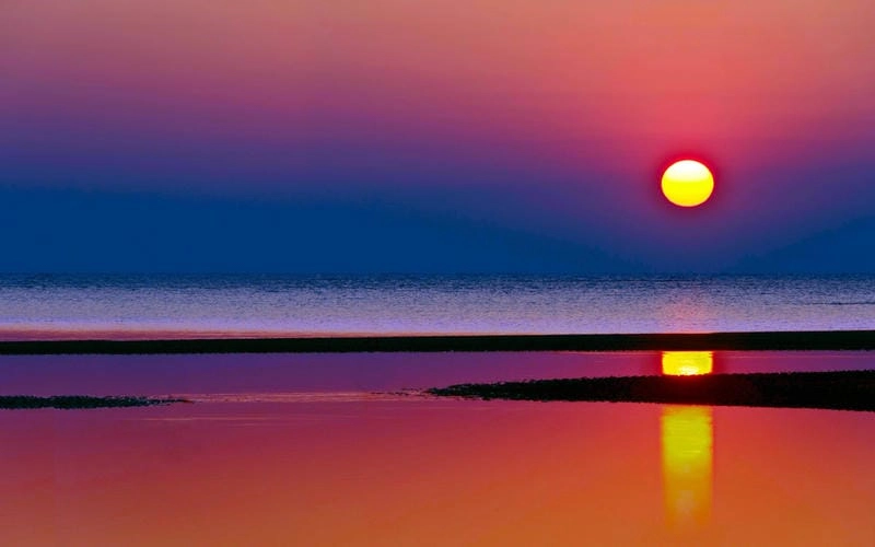 Cười sảng với kho ảnh thiên nhiên đa dạng
