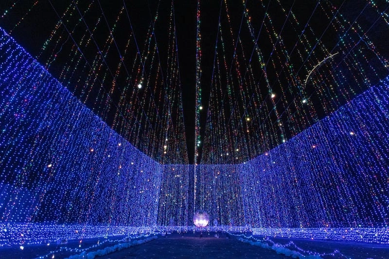 Đắm mình trong lễ hội ánh sáng rực rỡ