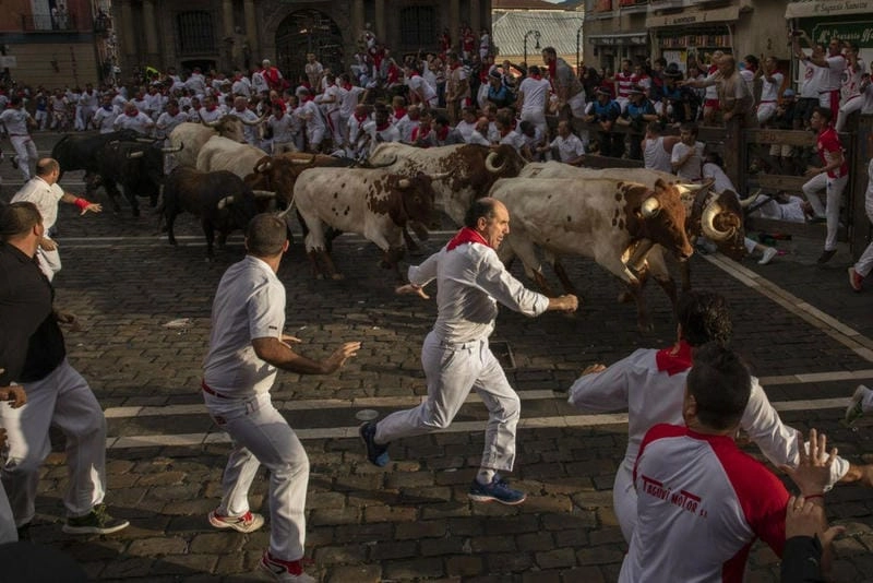 Khám phá các hoạt động chính của lễ hội San Fermín