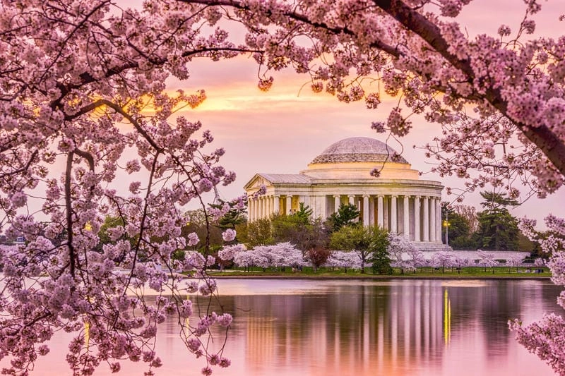 Tìm hiểu nguồn gốc và ý nghĩa lễ hội Washington D.C.