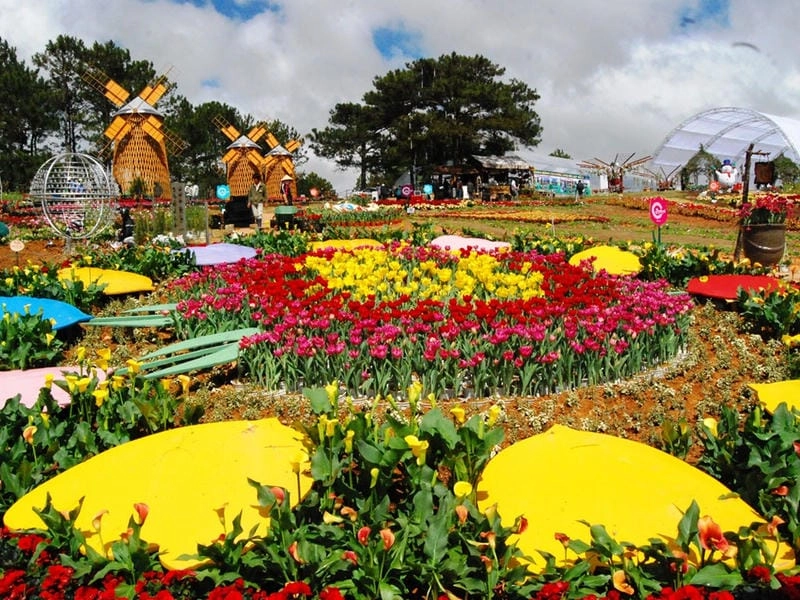 Lạc lối trong lễ hội hoa Đà Lạt cuốn hút