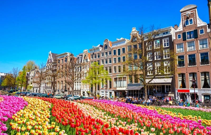 Cùng đắm mình trong lễ hội hoa Tulip rực rỡ