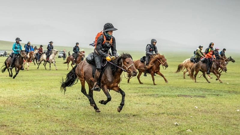 Sưu tầm những bức lễ hội Naadam cuốn hút