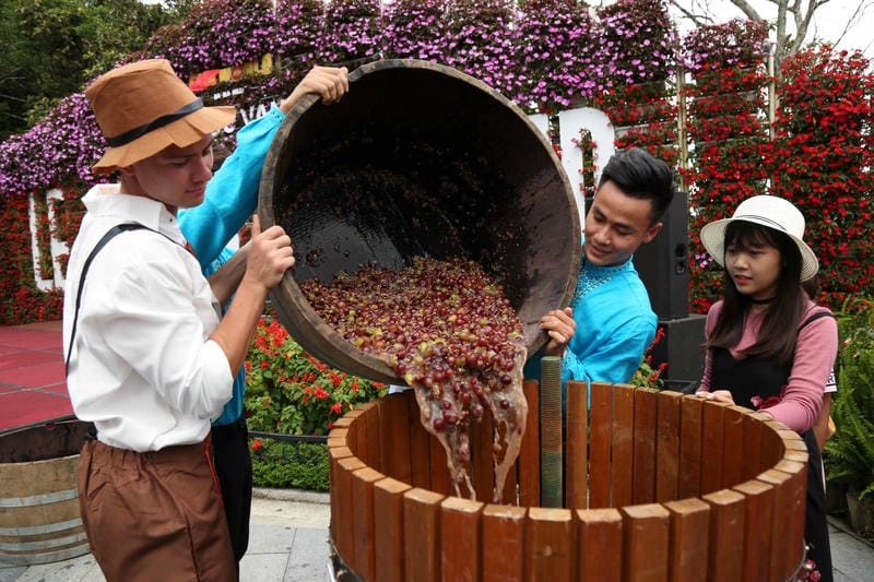 Cùng đắm mình trong lễ hội rượu vang sôi động