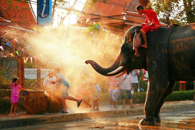 Sưu tầm những bức lễ hội té nước Songkran nổi bật