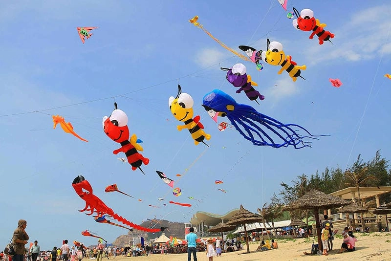 Ngắm nhìn vẻ đẹp lễ hội thả diều hấp dẫn