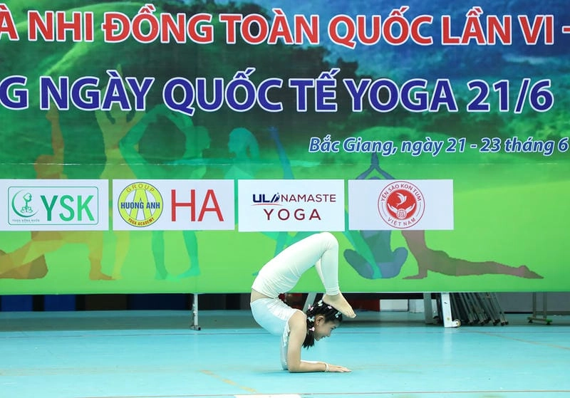 Tải ngay lễ hội yoga quốc tế truyền thống