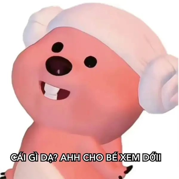 Đón xem gấu loopy meme với biểu cảm bá đạo khó quên
