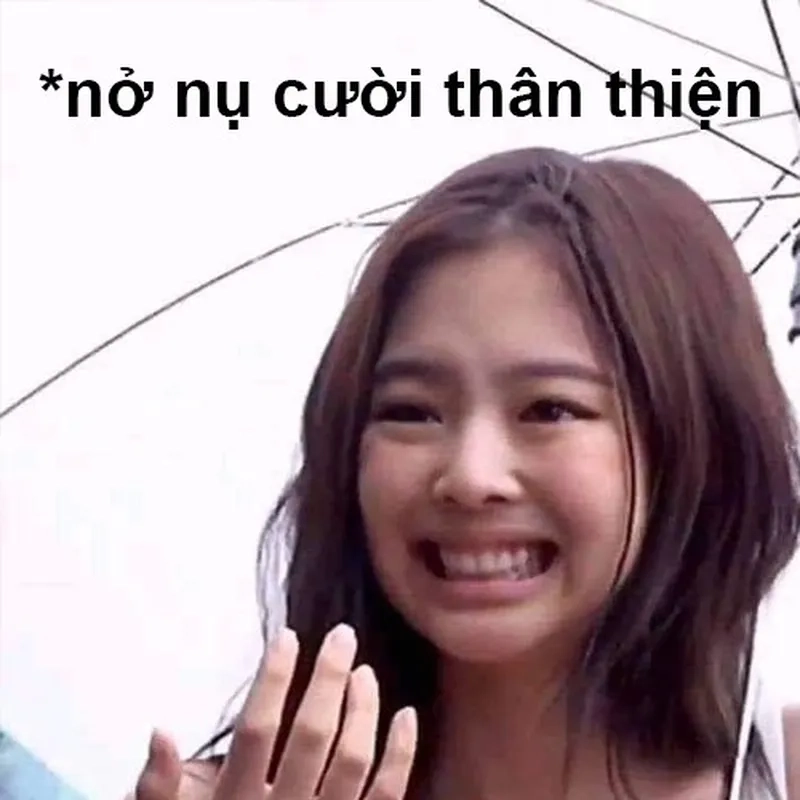 Khám phá ảnh dìm blackpink meme siêu hài hước khiến fan cười ngất